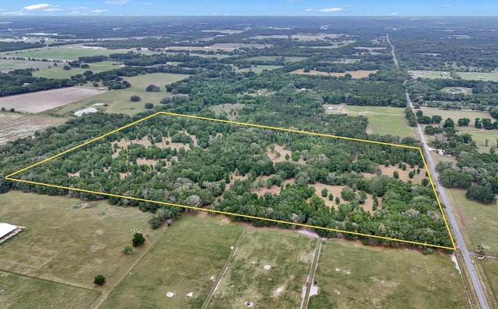 Pictures of Land property located at 650 Northeast 200th Avenue, Williston, FL 32696 for sales - image #1