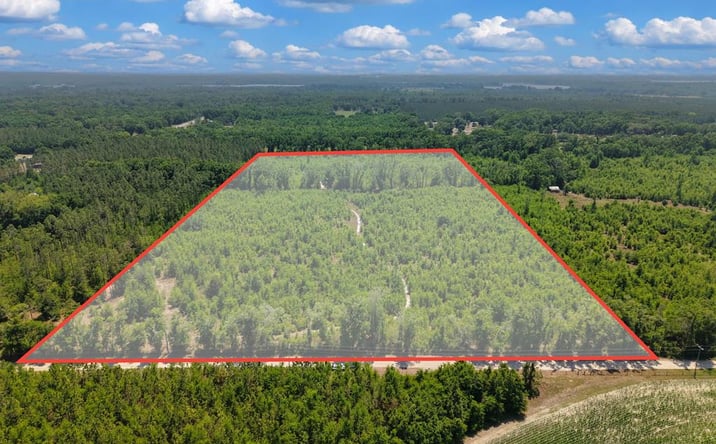Pictures of Land property located at TBD 000 NE 998th Ave, Branford, FL 32008 for sales - image #1