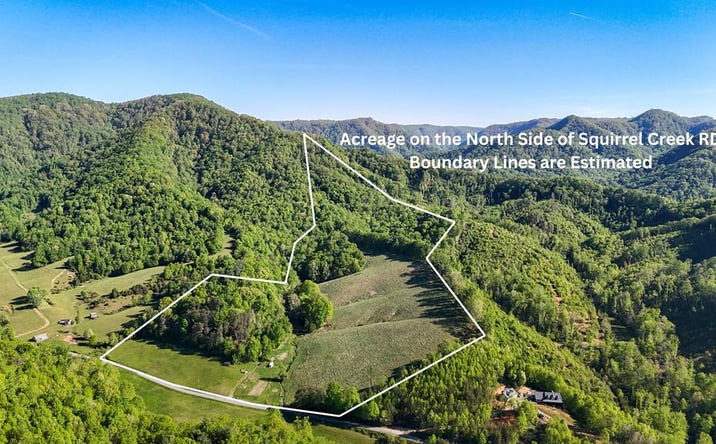 Pictures of Land, Multifamily property located at 1618 Squirrel Creek Road, Ararat, VA 24053 for sales - image #1