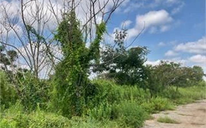 Pictures of Special Purpose property located at 1626 Moultrie Road, Albany, GA 31705 for sales - image #1