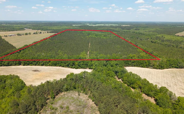 Pictures of Land property located at 0 Effingham Highway, 30964, GA 30467 for sales - image #1