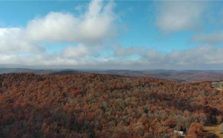 Pictures of Land property located at 00 TBD NC 9311, 8716, AR 72742 for sales - image #1