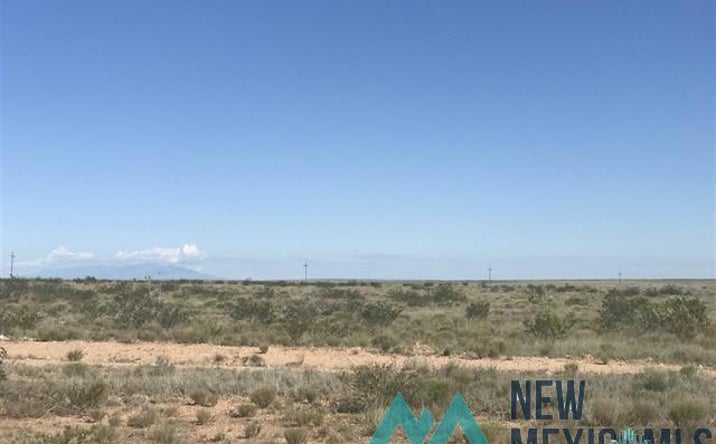 Pictures of Land property located at E Morgan Road, Hagerman, NM 88232 for sales - image #1