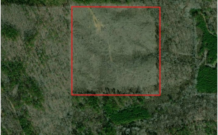 Pictures of Land property located at Oswalt Road, Sturgis, MS 39769 for sales - image #1