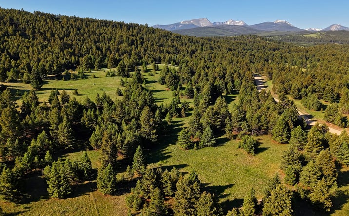Pictures of Land property located at NHN Lot 8 Phase 3A Dolus Lakes Road, Deer Lodge, MT 59722 for sales - image #1