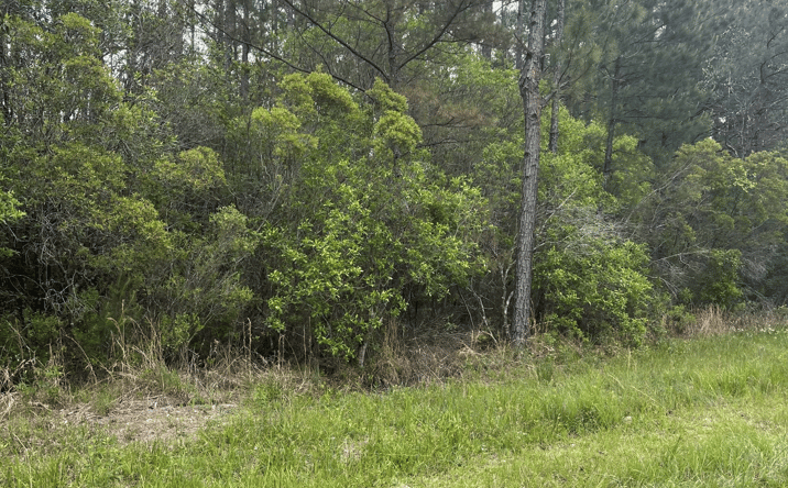 Pictures of Retail, Land property located at Lot 2 Leetown Road, Picayune, MS 39466 for sales - image #1