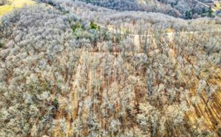 Pictures of Land property located at 000 Regal Heights Lot 32, Galena, MO 65656 for sales - image #1