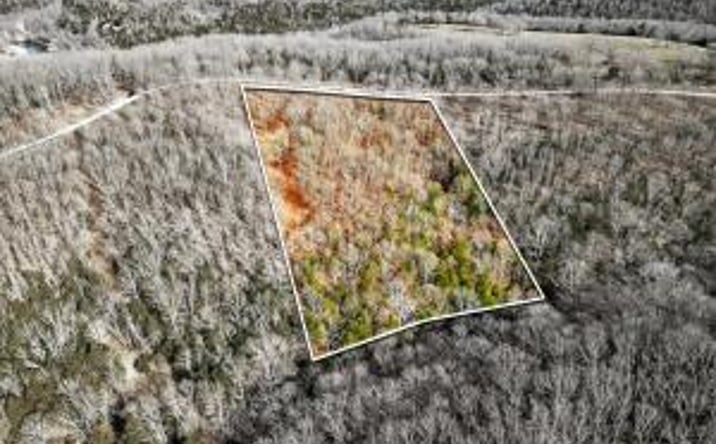 Pictures of Land property located at 000 Regal Heights Lot 34, Galena, MO 65656 for sales - image #1