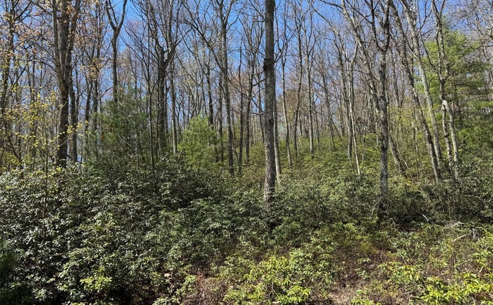 Pictures of Land property located at N Orange Street, Port Jervis, NY 12771 for sales - image #1