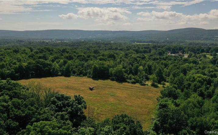 Pictures of Land property located at 56 Maple Avenue, Warwick (Town), NY 10990 for sales - image #1