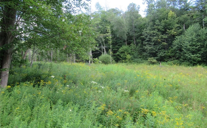 Pictures of Land property located at 278 Ferndale Road, Ferndale, NY 12734 for sales - image #1