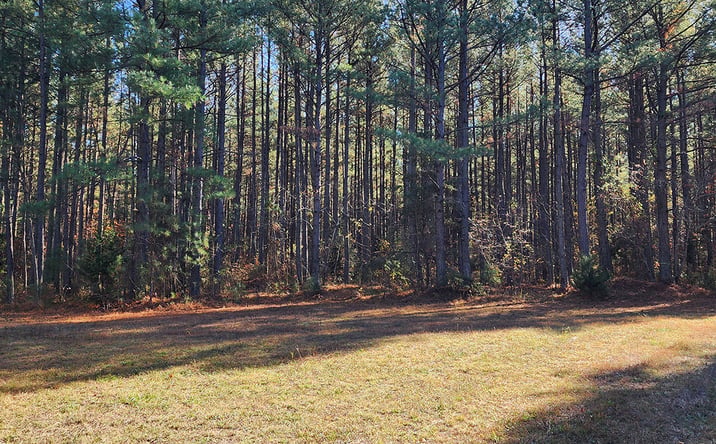 Pictures of Land property located at Grand Brooks Rd, Spotsylvania Courthouse, VA 22551 for sales - image #1