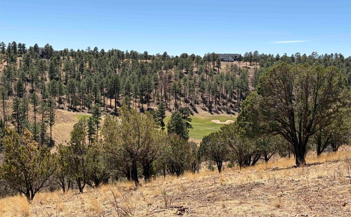 Pictures of Land property located at 136 Bobby Jones Court, Alto, NM 88312 for sales - image #1