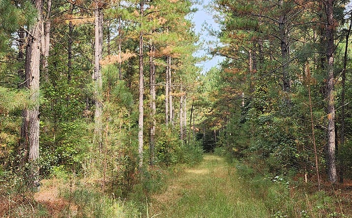 Pictures of Land property located at Lawrence Dr, Carrsville, VA 23315 for sales - image #1
