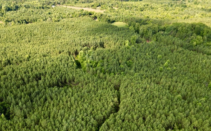 Pictures of Land property located at Piney Green Rd, Crewe, VA 23930 for sales - image #1