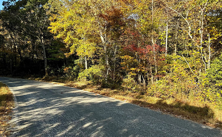 Pictures of Land property located at Old Glebe Point Rd, Burgess, VA 22432 for sales - image #1