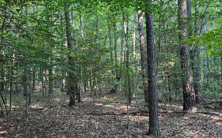 Pictures of Land property located at Knocks Rd, Doswell, VA 23047 for sales - image #1