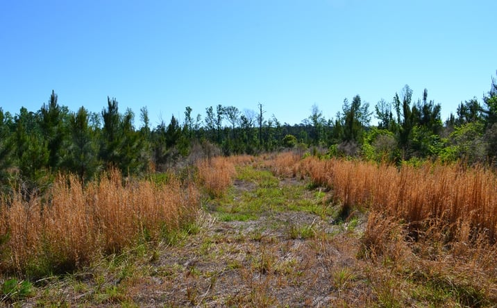 Pictures of Land property located at 2 Scotland Road, Dublin, GA 31021 for sales - image #1