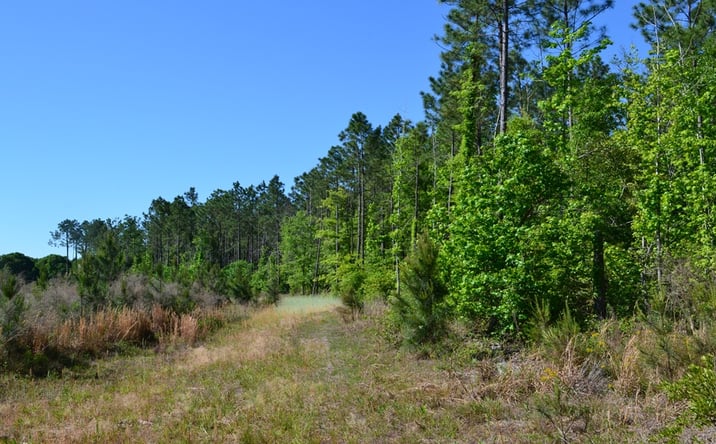 Pictures of Land property located at 3 Scotland Road, Dublin, GA 31021 for sales - image #1