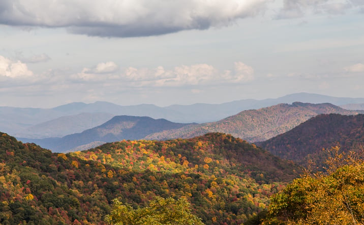 Pictures of Land property located at 2607 Wolf Laurel Rd, Mars Hill, NC 28754 for sales - image #1