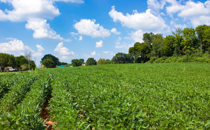 Pictures of Land property located at Joe Quick Road, Hazel Green, AL 35750 for sales - image #1
