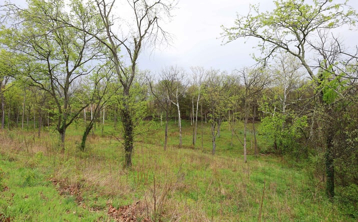 Pictures of Land property located at Lot 12, 13, 14 Dorothy Dr, Perryville, MO 63775 for sales - image #1
