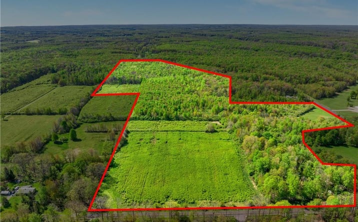 Pictures of Land property located at Balch Rd, Leroy, OH 44086 for sales - image #1
