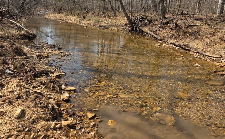 Pictures of Land property located at Tract 2 Off BCR 930, Patton, MO 63662 for sales - image #1