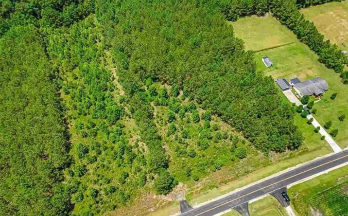 Pictures of Land property located at TBD Jasmine Rd, Loris, SC 29569 for sales - image #1