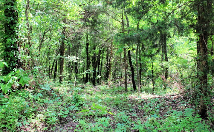 Pictures of Land property located at 20 E 2100 Road, Boswell, OK 74727 for sales - image #1