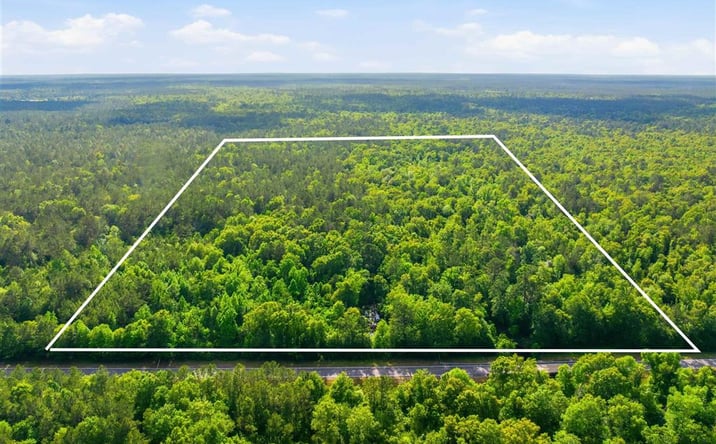 Pictures of Land property located at 16238 Highway 389, Merryville, LA 70653 for sales - image #1