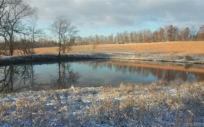Pictures of Land, Multifamily property located at 80 ac. Ripley Co 160W-15 Road, Other, MO 63935 for sales - image #1