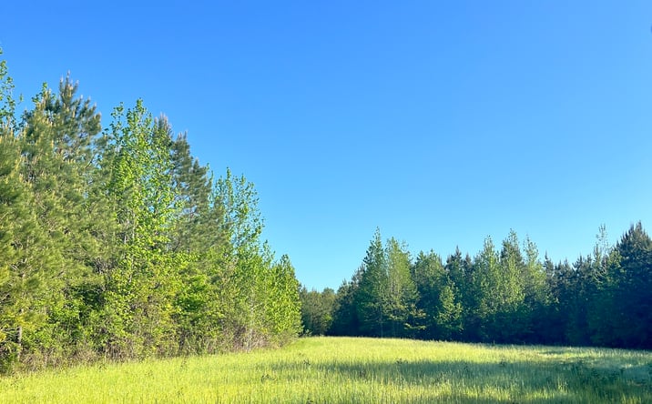 Pictures of Land property located at 0 Knights Road, Mt., Willing, AL 36032 for sales - image #1