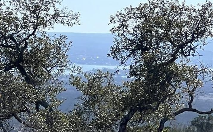 Pictures of Land property located at 199 High Range Drive, Kingsland, TX 78639 for sales - image #1
