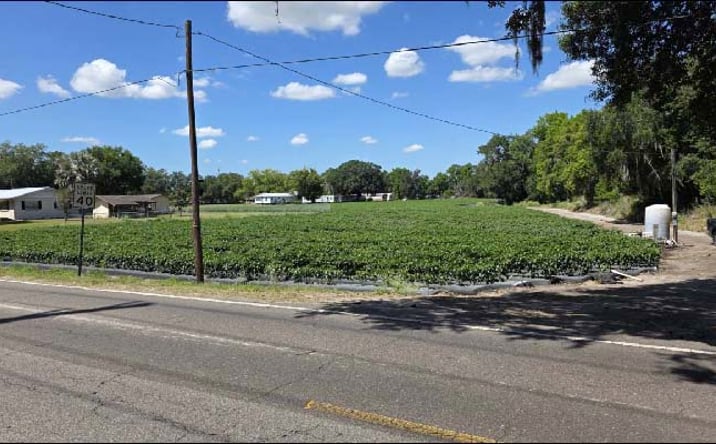 Pictures of Land property located at Gallagher Rd, Dover, FL 33527 for sales - image #1