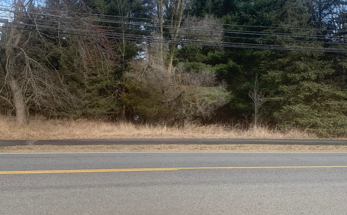 Pictures of Business for Sale, Retail, Office, Industrial, Land, Special Purpose property located at Parcel A W shaw Street, Howard City, MI 49329 for sales - image #1