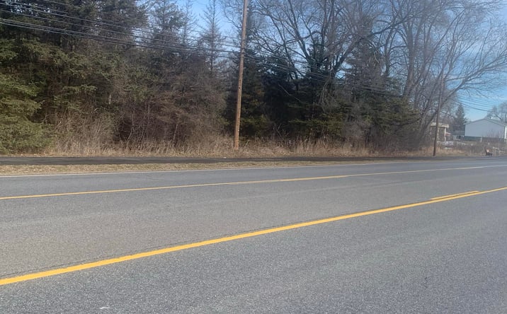 Pictures of Business for Sale, Retail, Office, Industrial, Land, Special Purpose property located at Parcel B W Shaw Street, Howard City, MI 49329 for sales - image #1