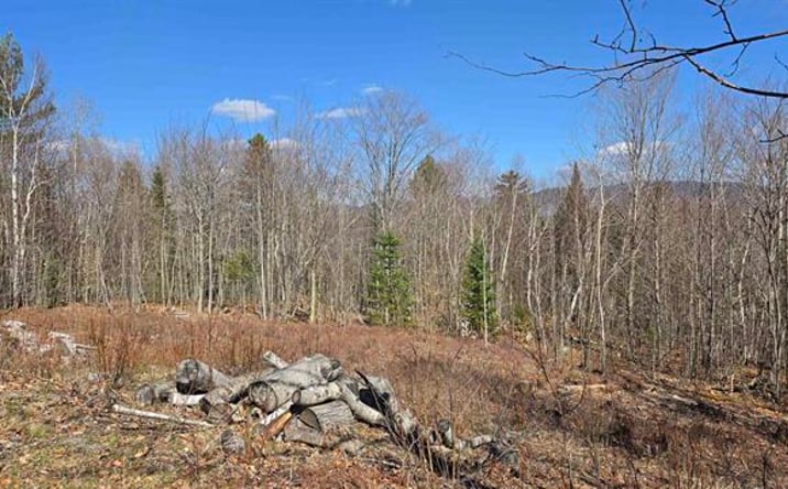 Pictures of Land property located at Cates Hill Road, Berlin, NH 03570 for sales - image #1