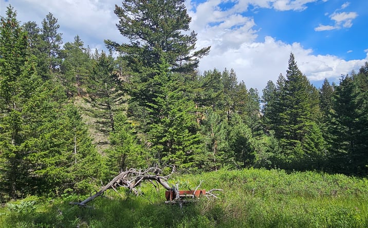 Pictures of Land property located at 37 Outer Loop Road, Cascade, MT 59421 for sales - image #1