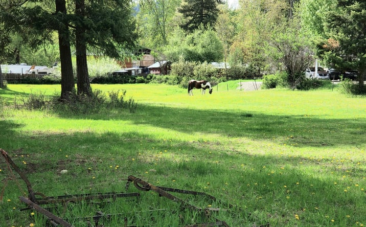 Pictures of Land property located at NHN Education Way, Libby, MT 59923 for sales - image #1