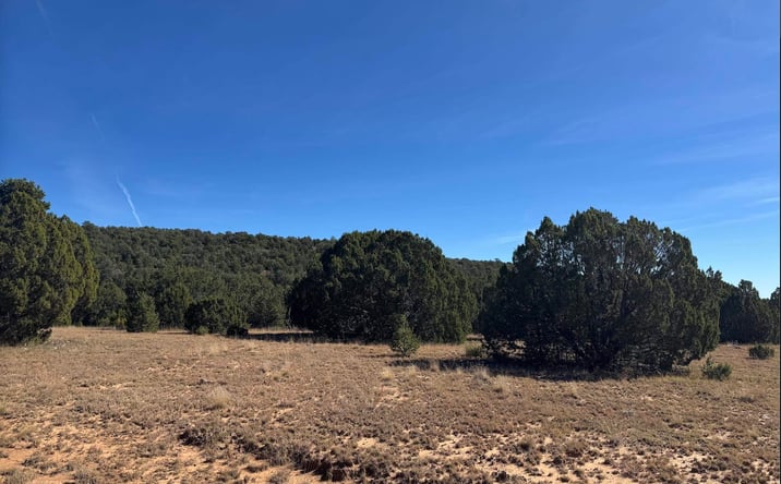 Pictures of Land property located at above Serafina Road, Serafina, NM 87569 for sales - image #1