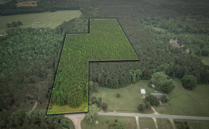 Pictures of Land property located at 0 Boothville Road, Doyline, LA 71023 for sales - image #1