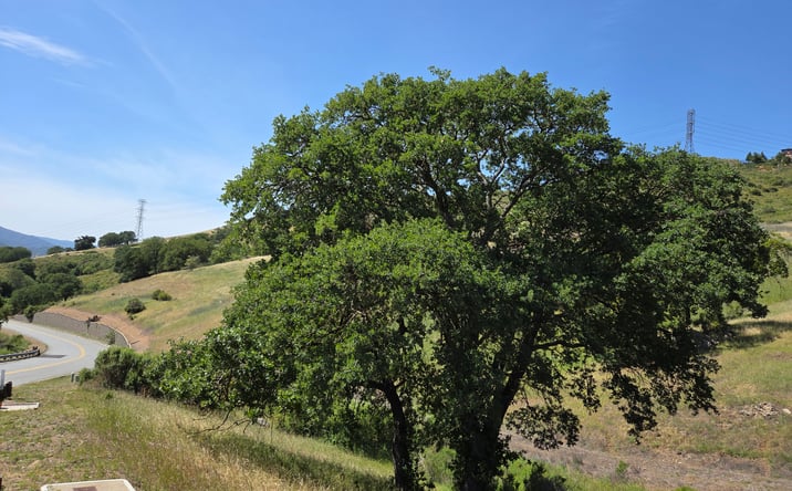 Pictures of Land property located at 22575 COUNTRY VIEW DR, SAN JOSE, CA 95120-3713 for sales - image #1