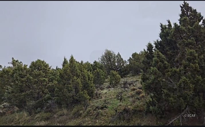 Pictures of Land property located at 246 Greencrest Drive, Spring Creek, NV 89815 for sales - image #1