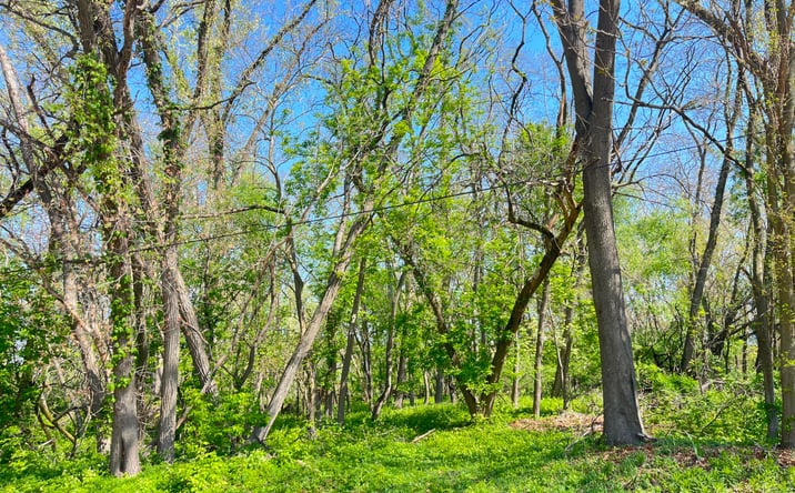 Pictures of Land property located at 32 Nd Laporte Street, Lake Station, IN 46405 for sales - image #1