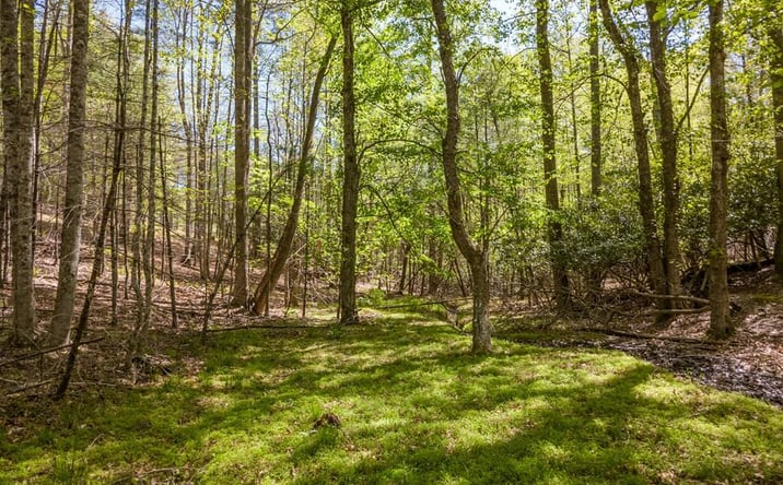 Pictures of Land, Multifamily property located at Lot 11 Ridge Line Trail, Independence, VA 24348 for sales - image #1