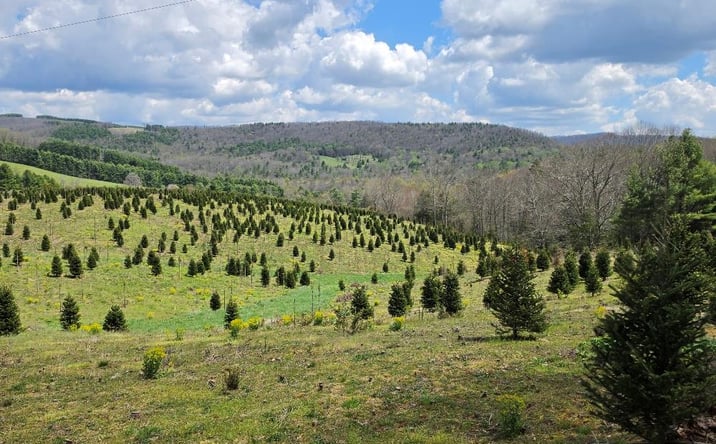 Pictures of Land, Multifamily property located at TBD Cornflower Rd, Troutdale, VA 24378 for sales - image #1
