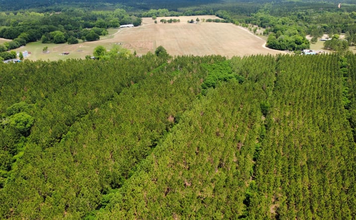Pictures of Land property located at Sunflower Road, Fitzgerald, GA 31750 for sales - image #1
