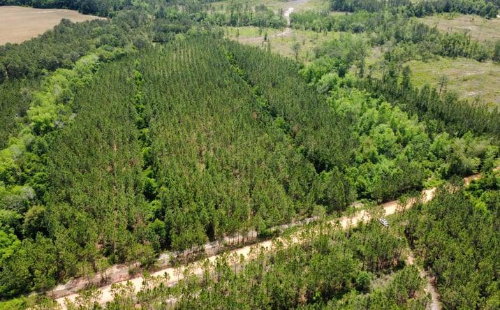 Pictures of Land property located at Sunflower Road, Fitzgerald, GA 31750 for sales - image #1