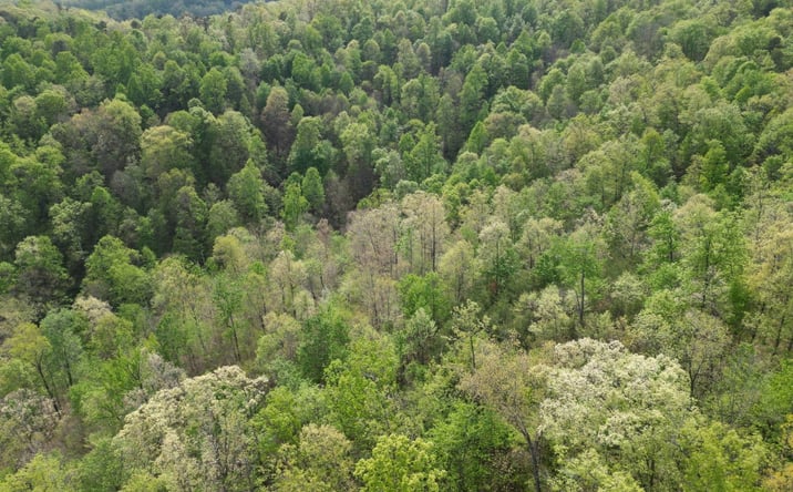 Pictures of Land property located at Sugar Camp Road, Big Bend, WV 26136 for sales - image #1